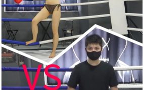 SD-F006-hawk vs xiaxia